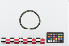 Foto von Bronzearmreif (NHMW-PRAE-024312)